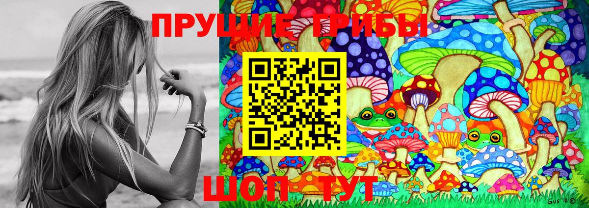 Псилоцибиновые грибы мухоморы  Вход с VPN  Всеволожск  Галлюциногенные грибы Psilocybe 